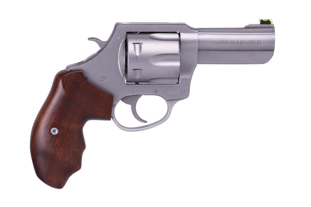 Handguns Charter Arms The PROFESSIONAL V 357Magnum|38Special THE PROFESSIONAL 357MAG SS 3" • 6-SHOT | STAINLESS STEEL